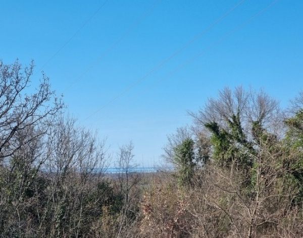 View of a rural wooded area, clear sky over Croatia, real estate Croatia visible in the background