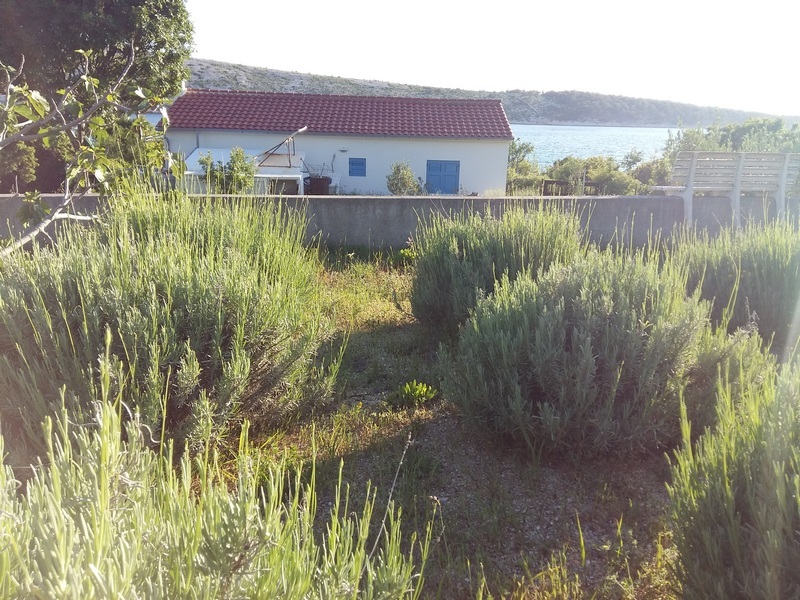 Property by the sea on the island of Rab in Croatia.