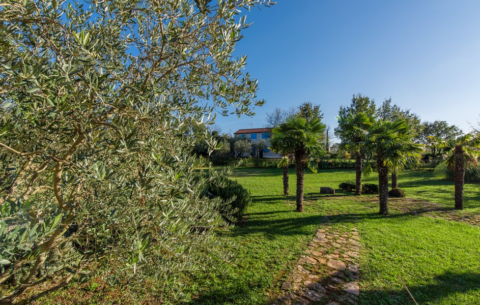 Buy a house with palm trees in the garden in Croatia - Panorama Scouting GmbH.
