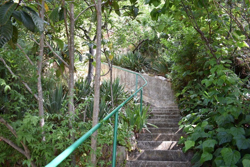 Steps lead directly to the seashore.