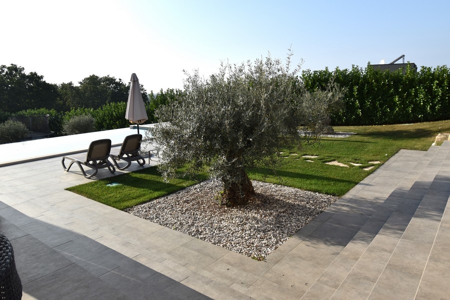 Villa with landscaped garden with olive trees
