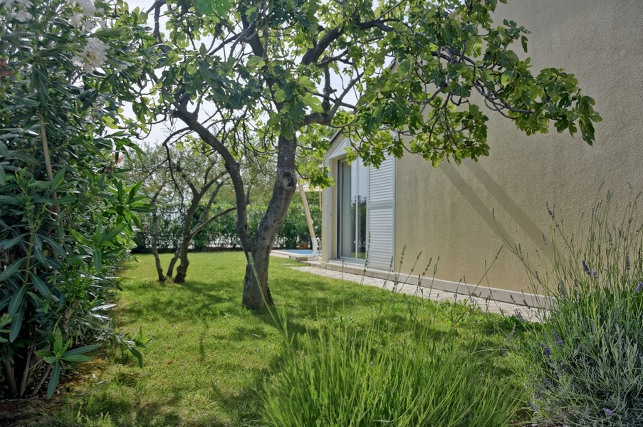 Well-kept garden of a house for sale in Istria by the sea.