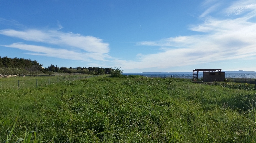 View of the green area of ​​the property directly by the sea - buy building land in Croatia.